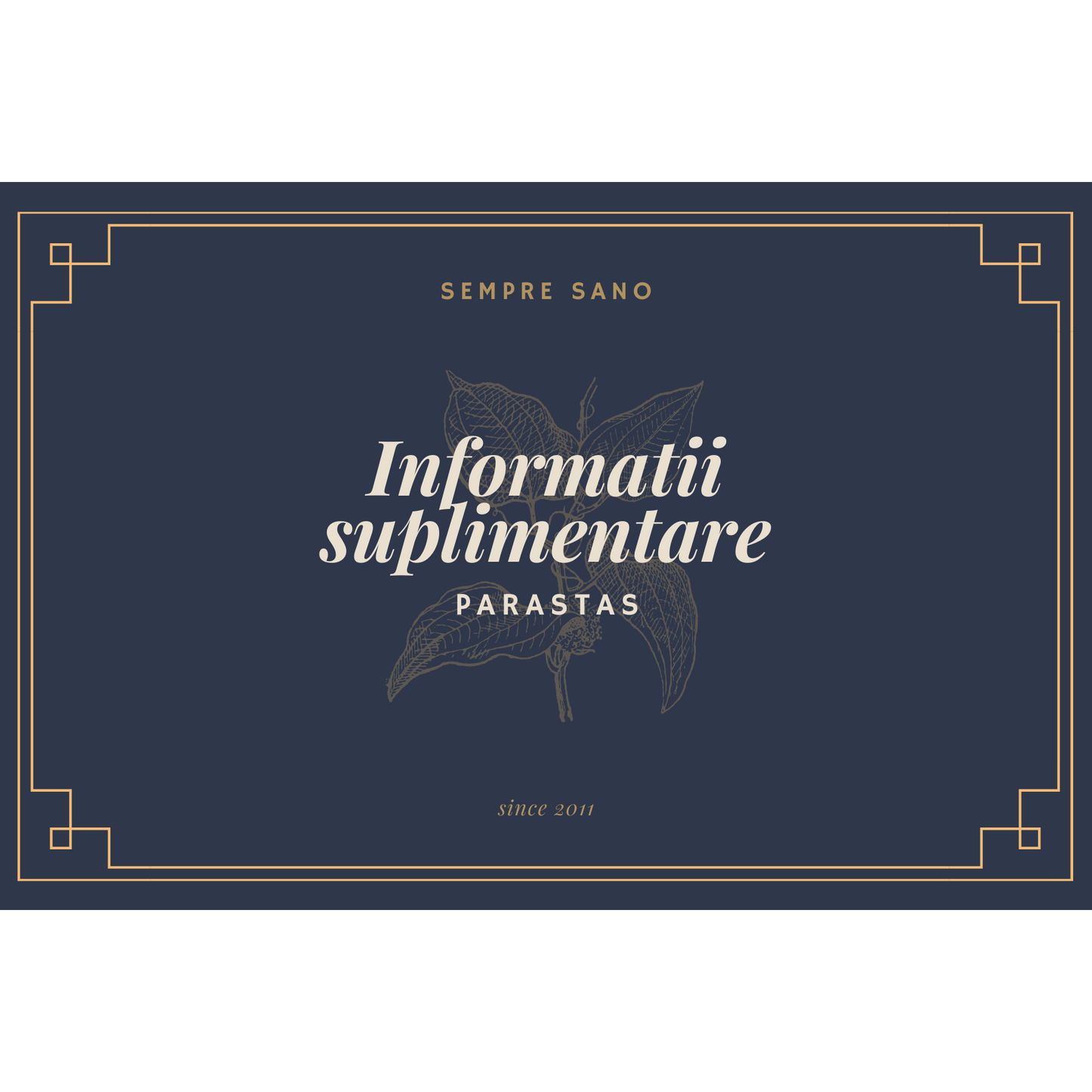 Informatii suplimentare